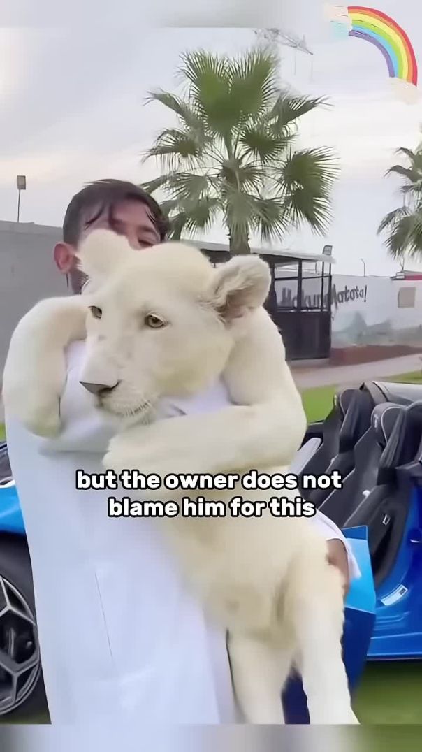 Person with is lion