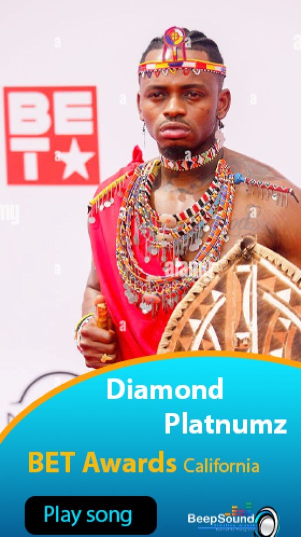 SHORT VIDEO ABOUT DIAMOND PLATNUMZ